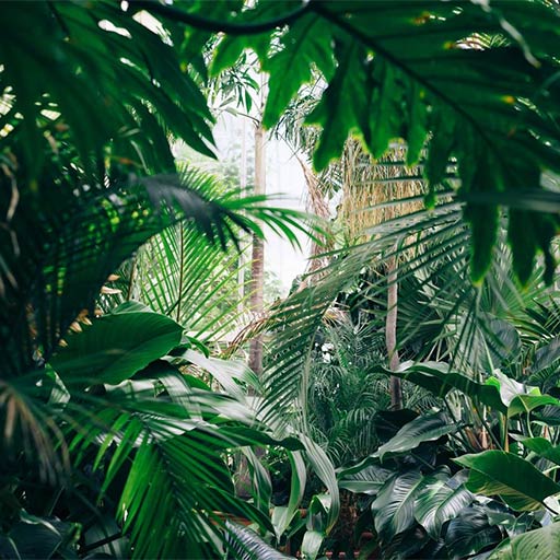 Mer info om Dyslexiutredning - språkstörning/(barn) dyskalkyli utredning